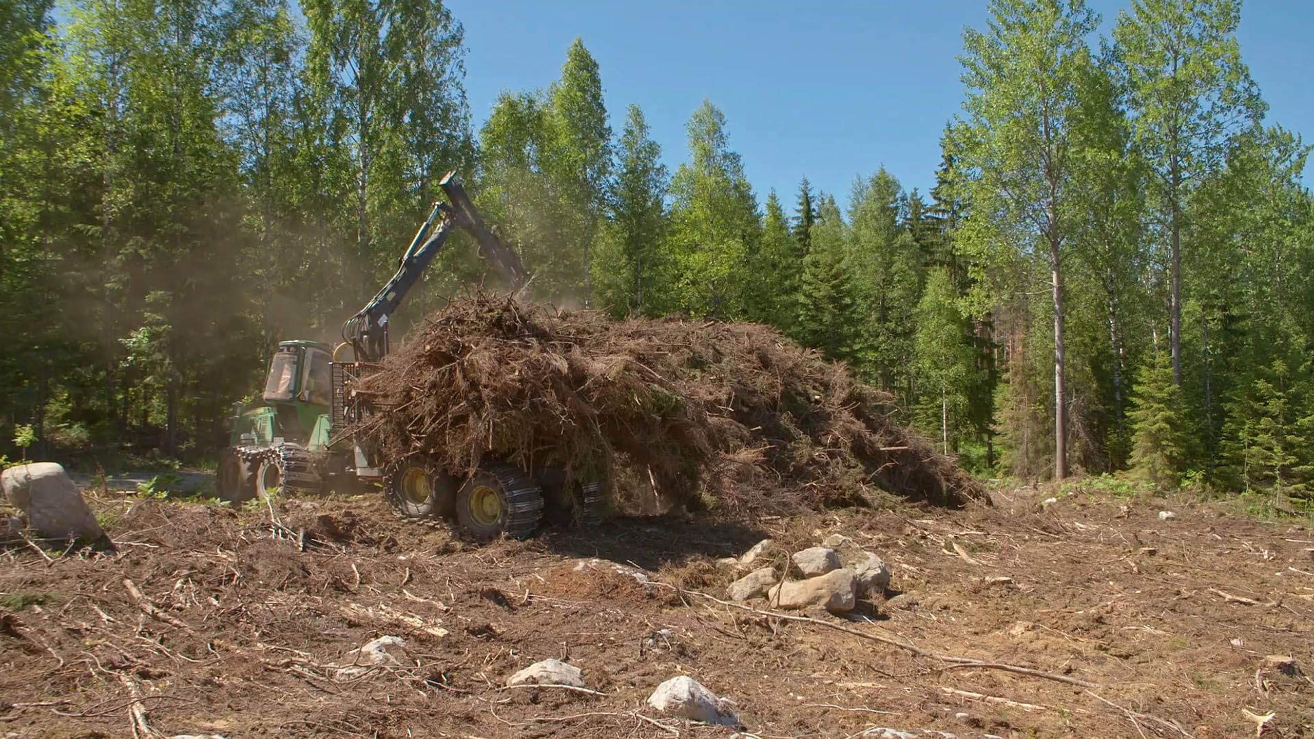Harvesting energy wood - Sustainable forestry - UPM Forest Life